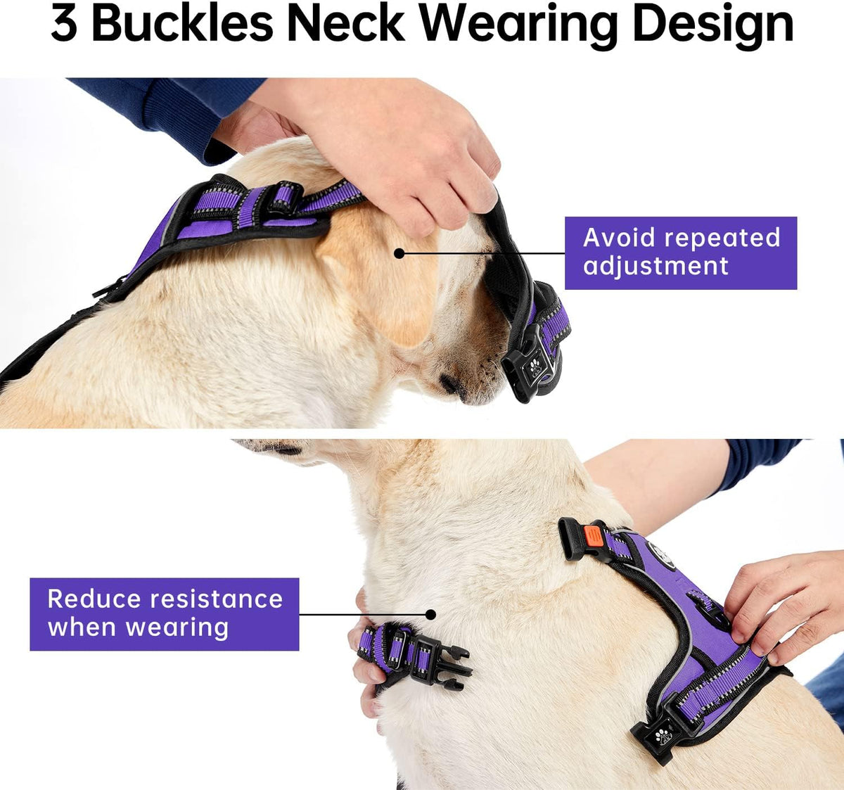 IVY&LANE No Pull Dog Harness for Large Dogs, Dog Vest Harness with Leash, Safety Belt and Storage
