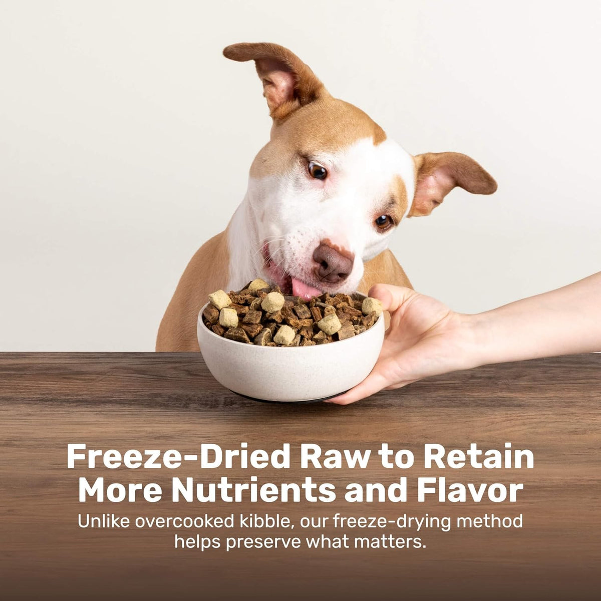 BADLANDS RANCH Superfood Nuggets- Premium, Freeze-Dried raw Dog Food Topper or Treat. Powerful