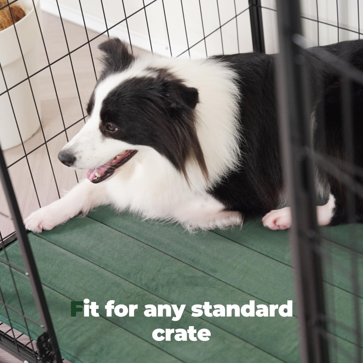 BALANCE Dog Crate Pad, Dog Foam Crate Mat Kennel Pad, Washable Water-Resistant Pet Bed Flat Dogs