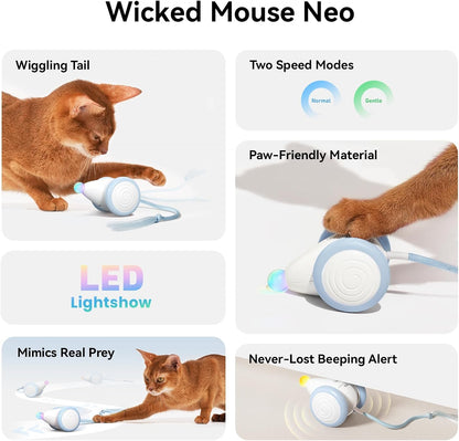 Cheerble Interactive Cat Toys for Indoor Cats, Automatic Moving Kitten Toys, Wicked Mouse Neo Cat