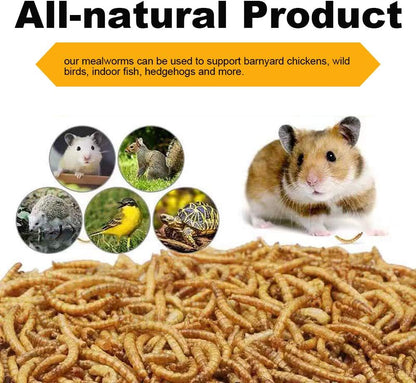 Dried Mealworms 5Lbs, High-Protein Bulk Mealworms, 100% Non-GMO Mealworm Treats for Birds