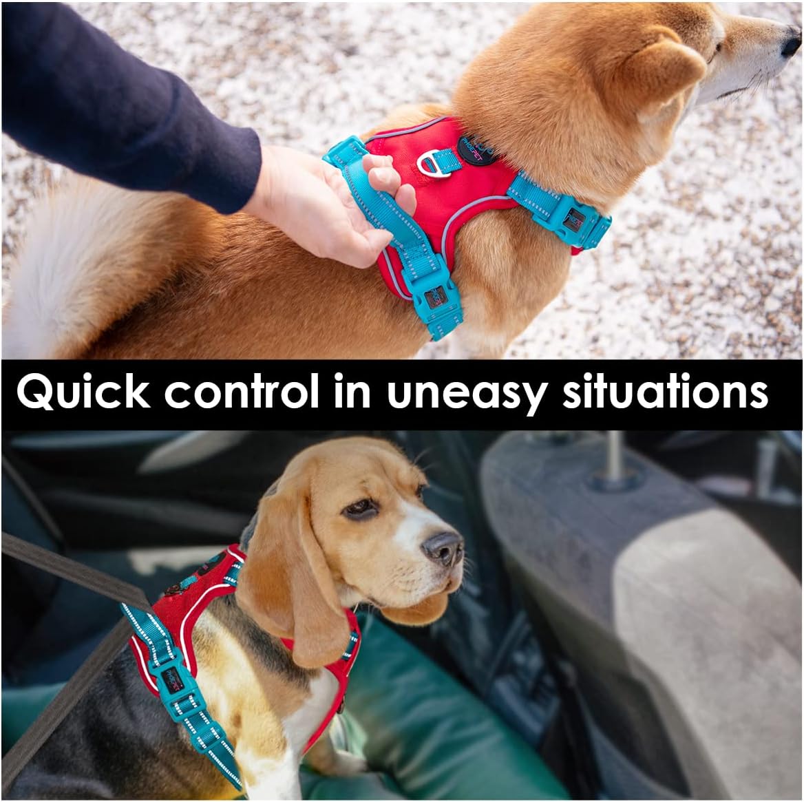 PHOEPET No Pull Dog Harness, Unique Colors Reflective Adjustable Dog Vest, with Soft Training