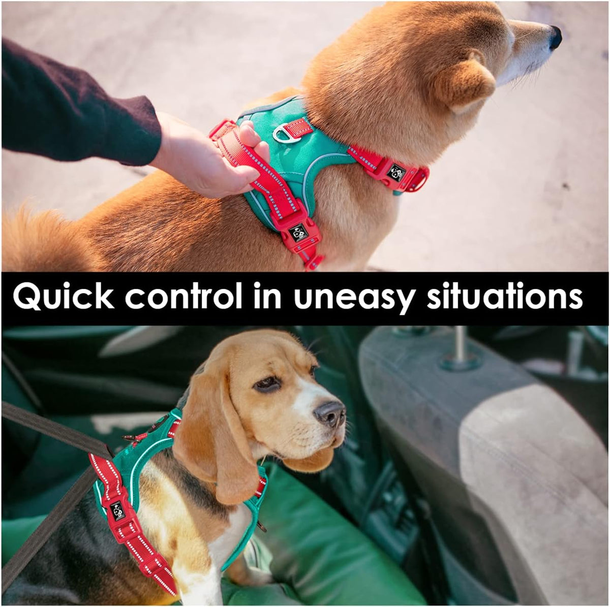 PHOEPET No Pull Dog Harness, Unique Colors Reflective Adjustable Dog Vest, with Soft Training