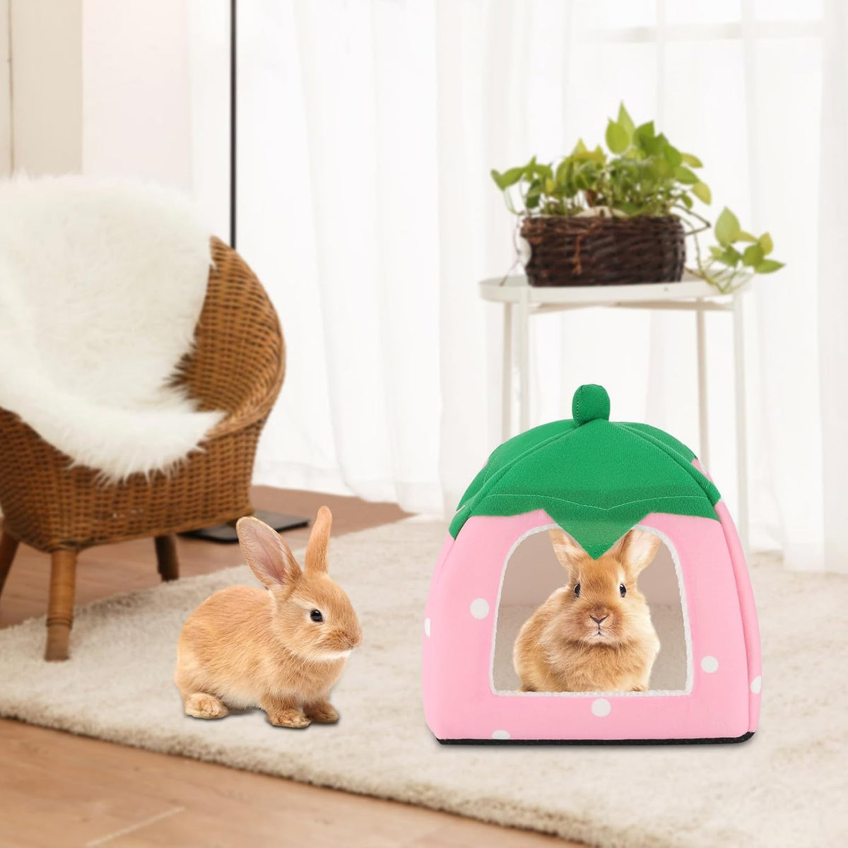 BWOGUE Guinea Pig House Bed Cozy Hamster Cave Large Hideout for Dwarf Rabbits Hedgehog Bearded