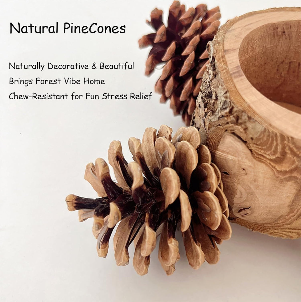 Bird Perch with Safe Bowl Wood & Pinecones - Bird Toys Chew Toys 100% Natural & Durable for