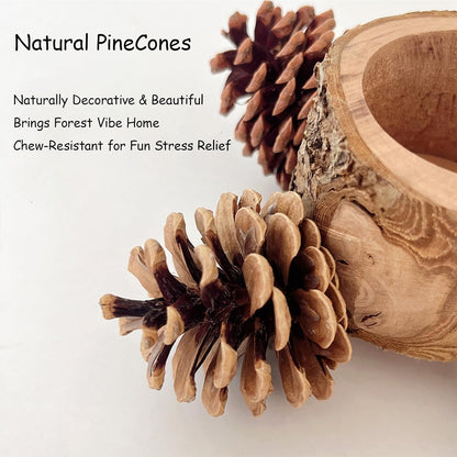 Bird Perch with Safe Bowl Wood & Pinecones - Bird Toys Chew Toys 100% Natural & Durable for