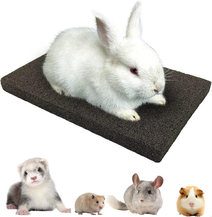 BNOSDM Rabbit Grinding Claw Pads Bunny Scratch Foot Pads Natural Hamster Lava Stone for Teeth