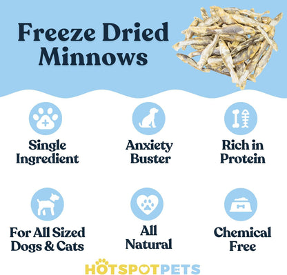hotspot pets Freeze Dried Minnows Treats for Cats & Dogs (1 Pound Bag Over 1800 PCS!) (Made in USA)