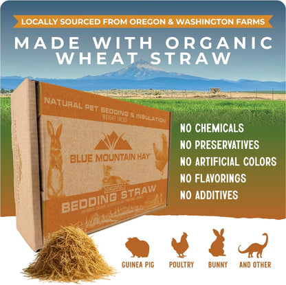 Blue Mountain Hay | Organic Bedding Straw (10 lb) | Natural Pet Bedding & Insulation for Rabbits