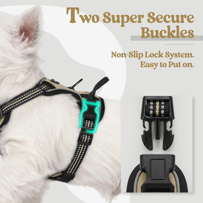 rabbitgoo Dog Harness No Pull with 2 Leash Clips, Adjustable Soft Padded, Reflective Oxford No