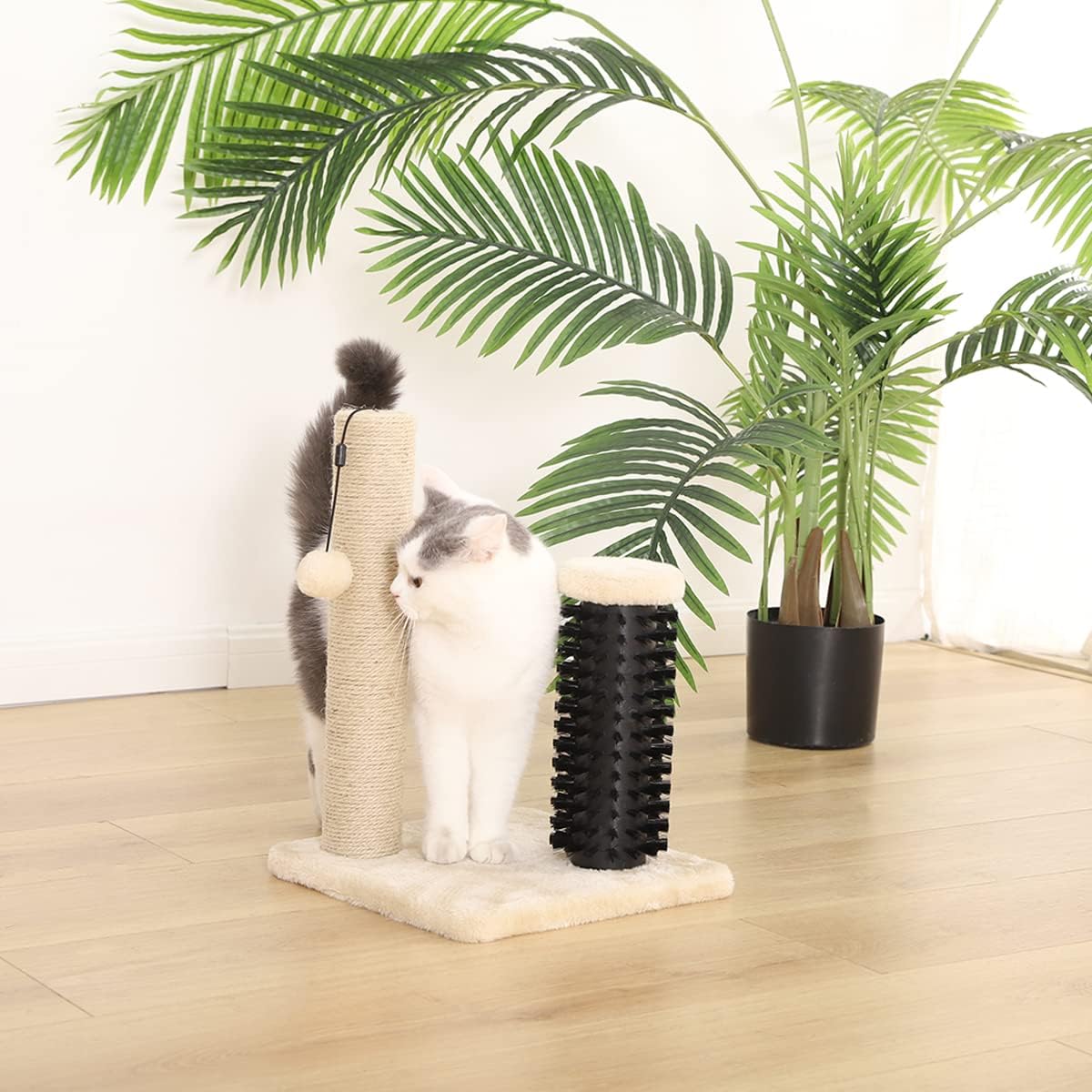Amazon Basics Cat Scratcher - Indoor Classic Single Cat & Kittens Scratching Post with Brush, Small