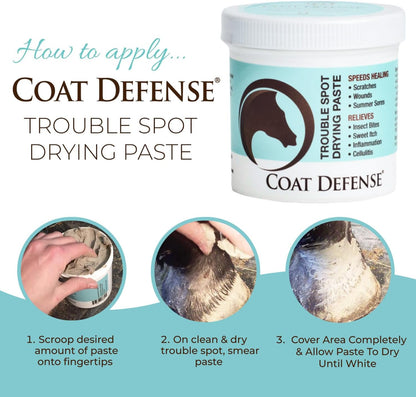 COAT DEFENSE Trouble Spot Drying Paste for Horses - Natural Equine Wound Care That Provides Safe &