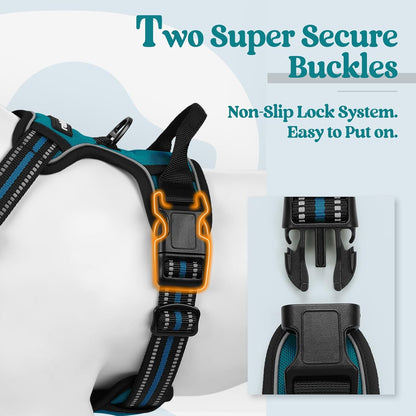 rabbitgoo Dog Harness No Pull with 2 Leash Clips, Adjustable Soft Padded, Reflective Oxford No