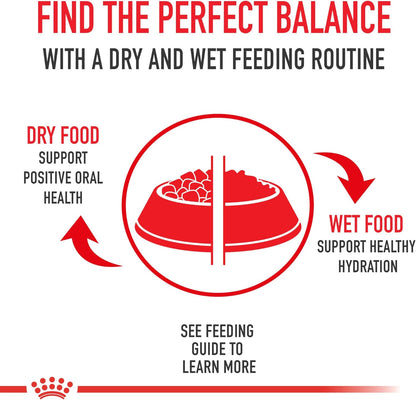 Royal Canin Aging 12+ Thin Slices in Gravy Canned Cat Food, 3 Oz Can (6-Pack)