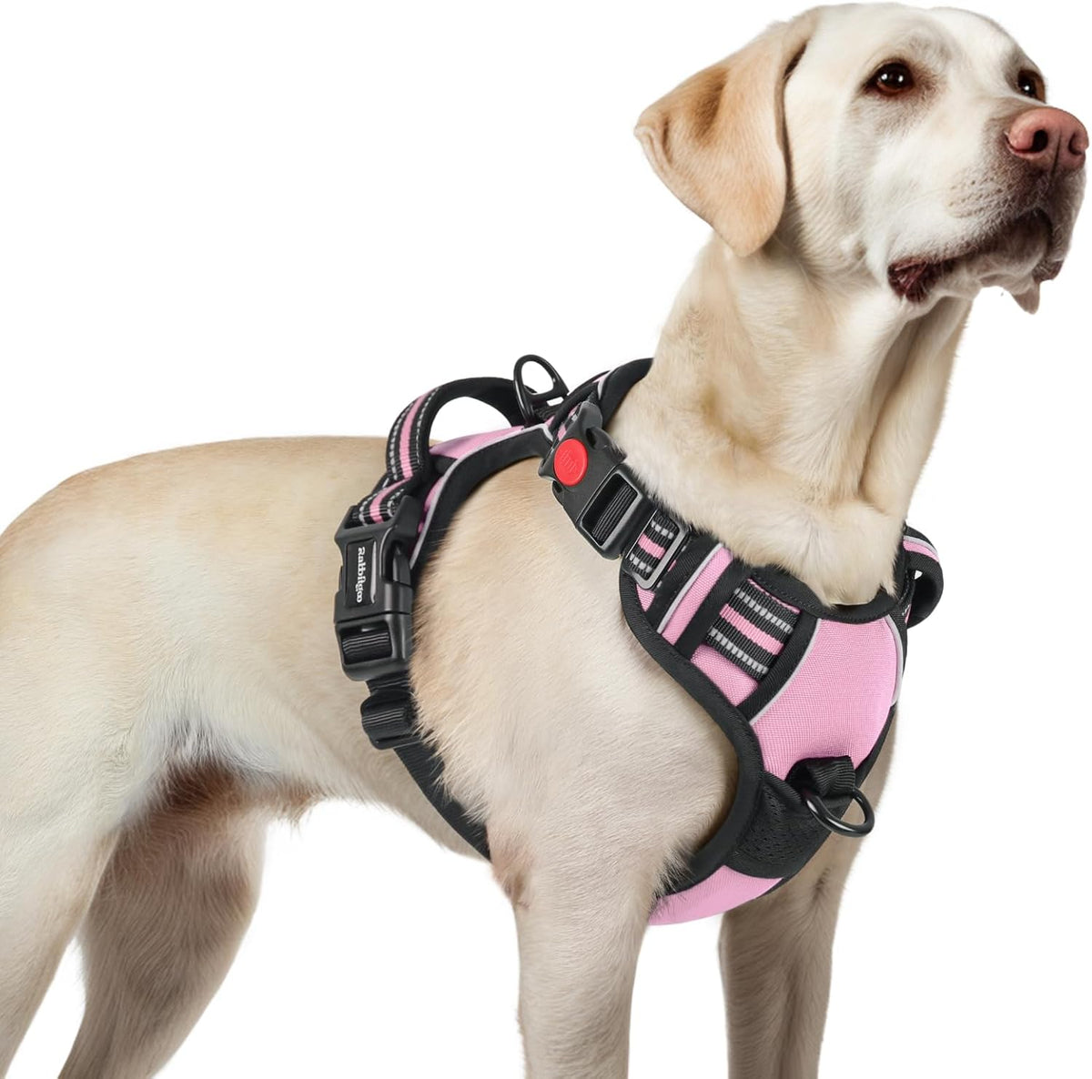 rabbitgoo Dog Harness for Large, No Pull Pet Harness with 3 Buckles, Adjustable Soft Padded Vest