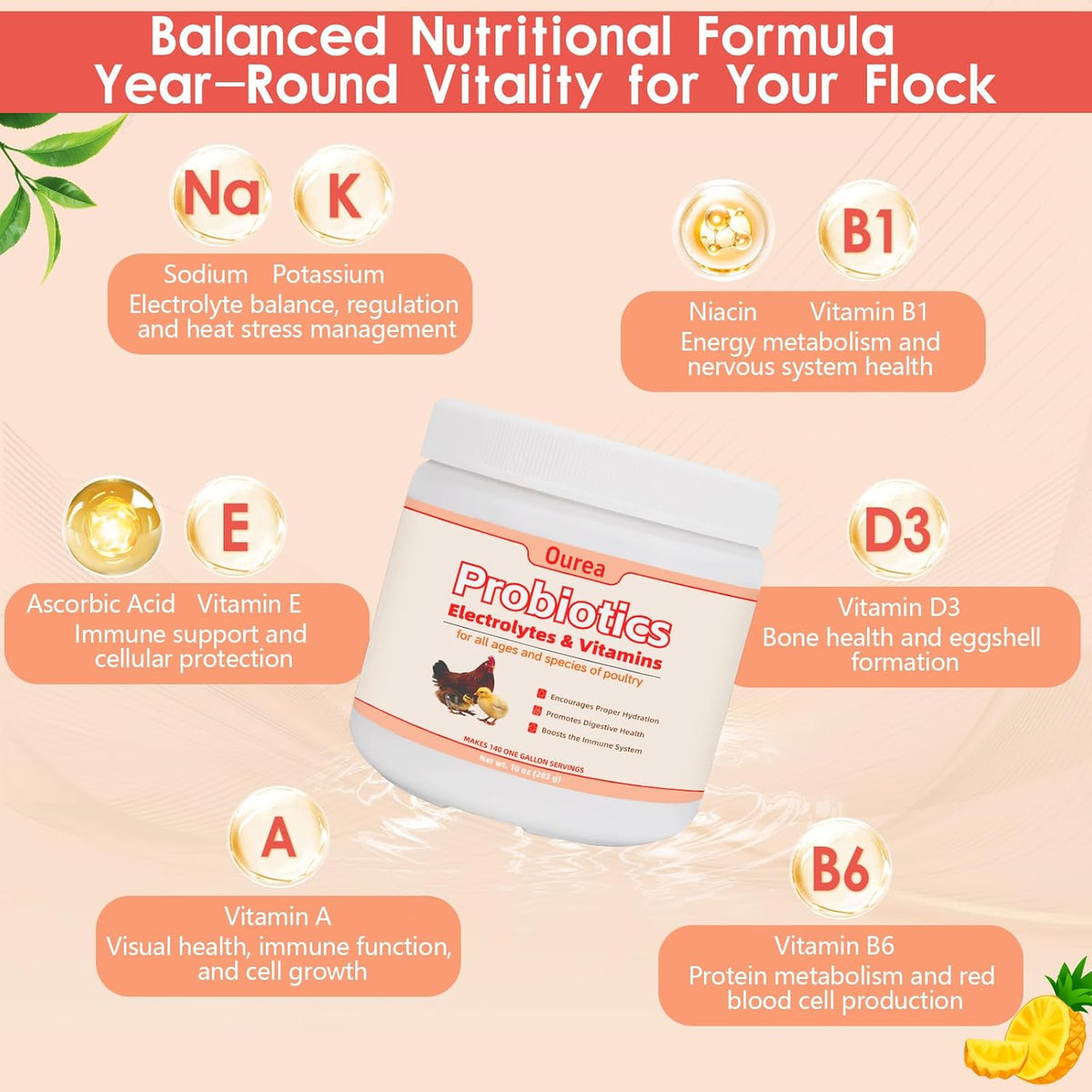 Chicken Electrolyte, Vitamin & Probiotic Supplement - Support Hydration Digestion Immunity Egg