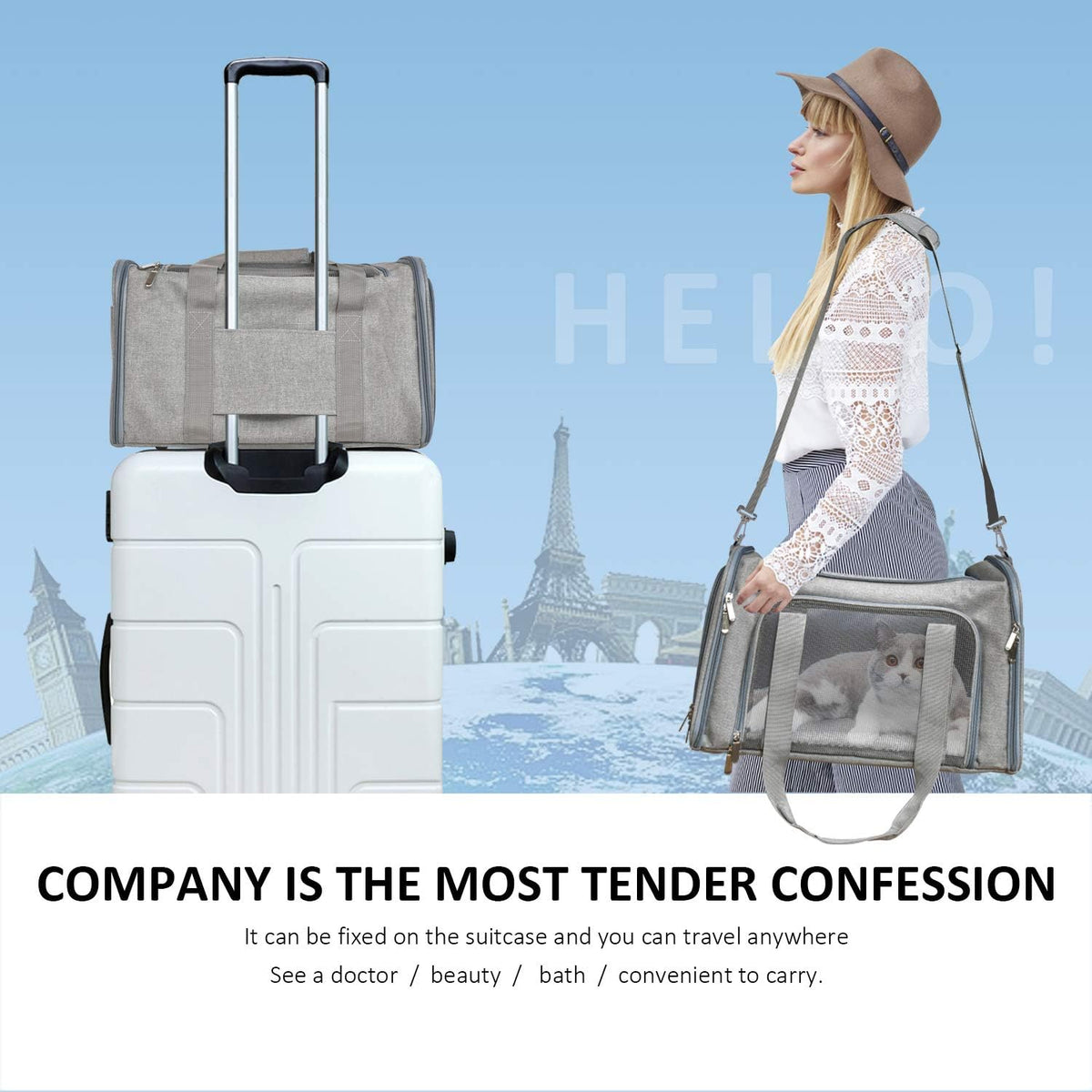 Large Dog Cat Carriers Puppies up to 25Lbs, Big Dog Carrier Soft Sided, Collapsible Travel Puppy