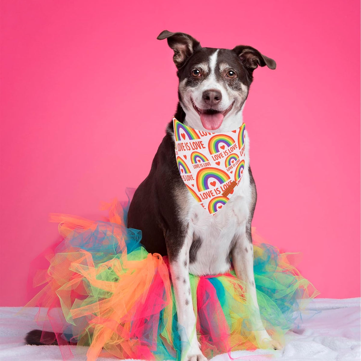PTDECOR Rainbow Dog Bandanas Pride Day, Multi Size,“Love is Love” Pet Scarf Reversible Triangle