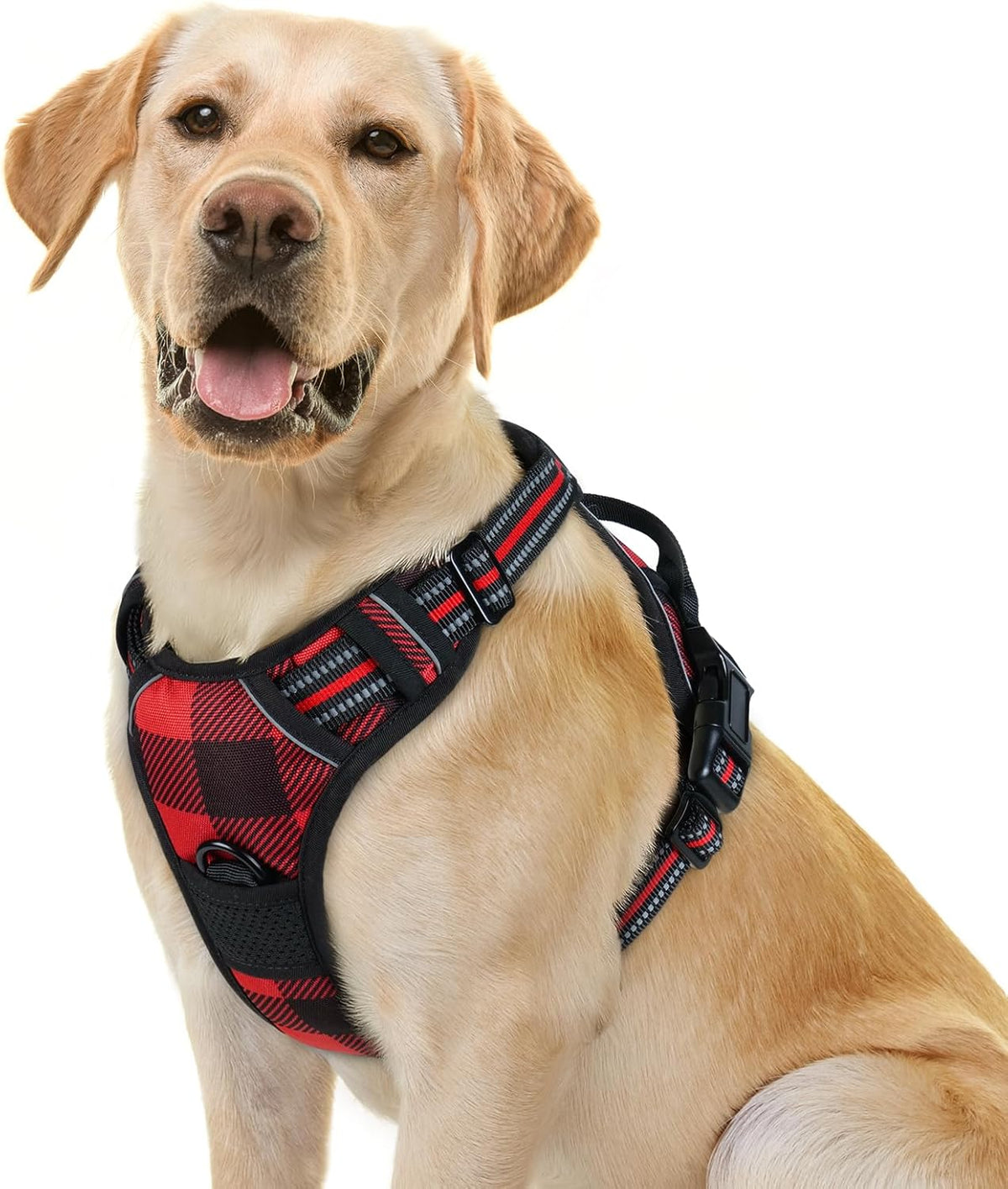 rabbitgoo Dog Harness No Pull with 2 Leash Clips, Adjustable Soft Padded, Reflective Oxford No
