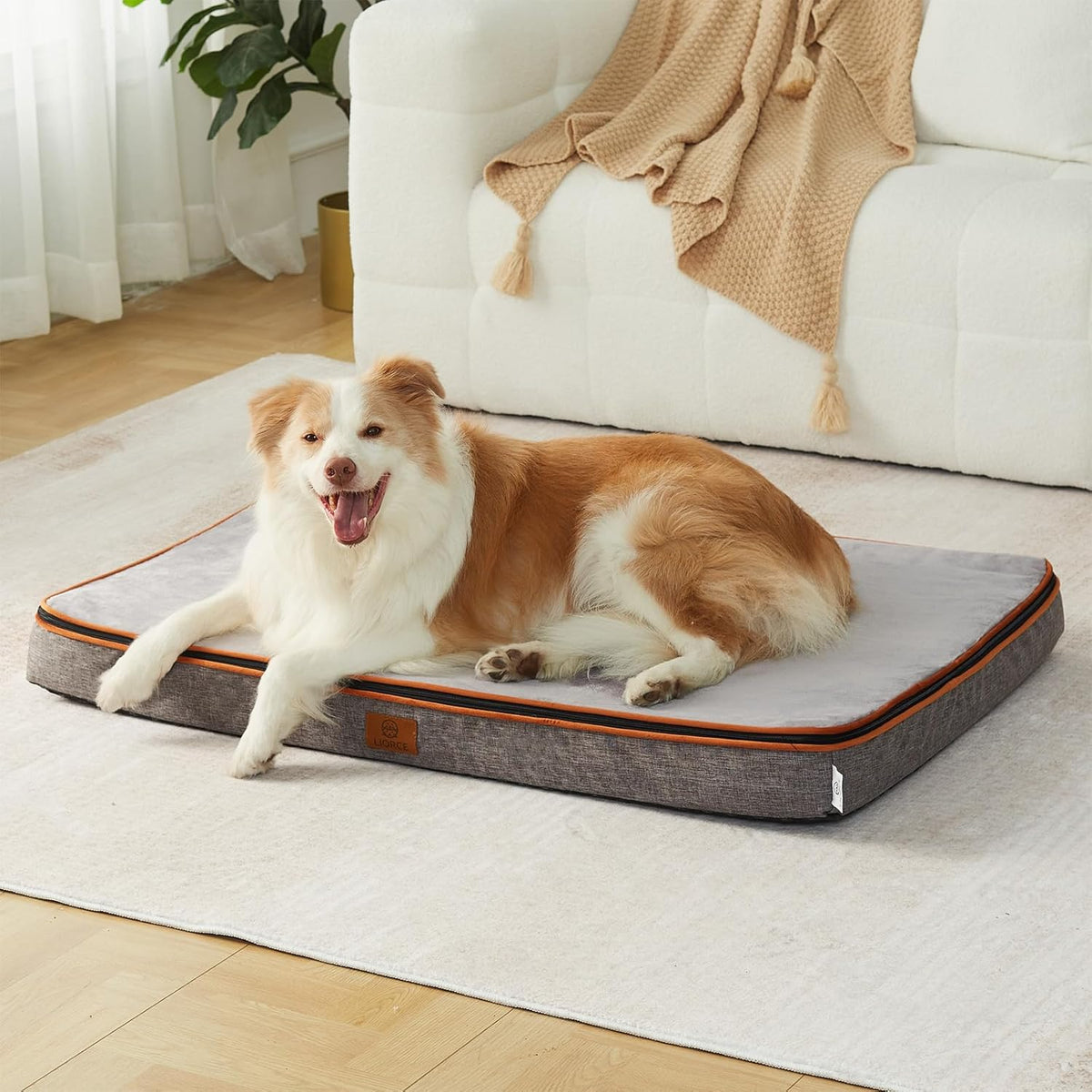 Memory Foam XL Dog Bed - 4” Thick Orthopedic Beds for Extra Large Dogs - Waterproof Dog Bed with