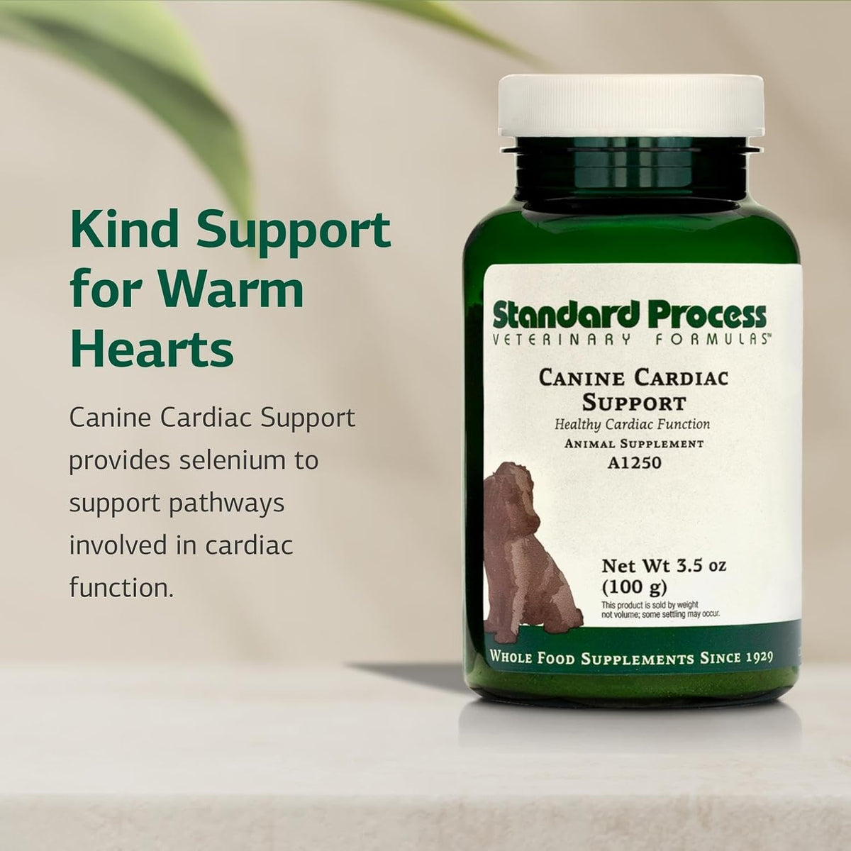 Standard Process Inc. Canine Cardiac Support - Dog Heart Health Supplement - Nutritional Formula to