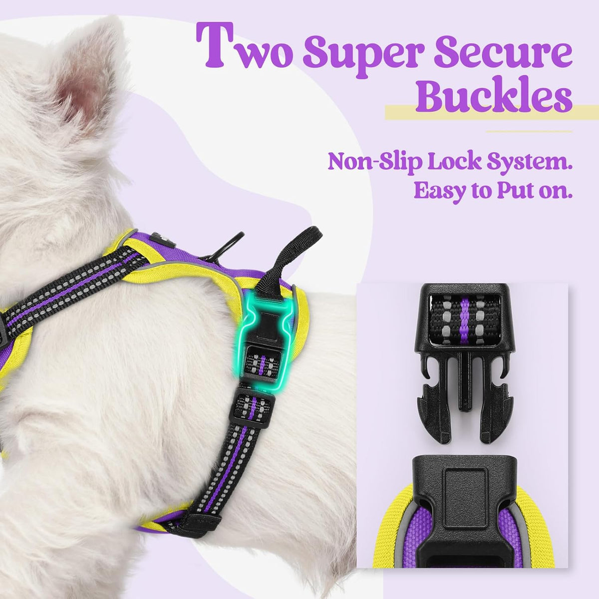 rabbitgoo Dog Harness No Pull with 2 Leash Clips, Adjustable Soft Padded, Reflective Oxford No