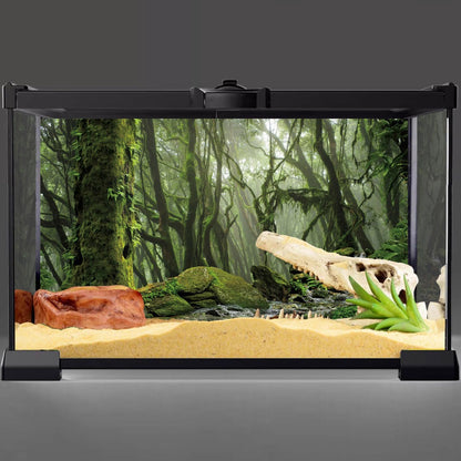AWERT Foggy Forest Terrarium Background Stream Green Huge Tree Reptile Habitat Tropical Rainforest
