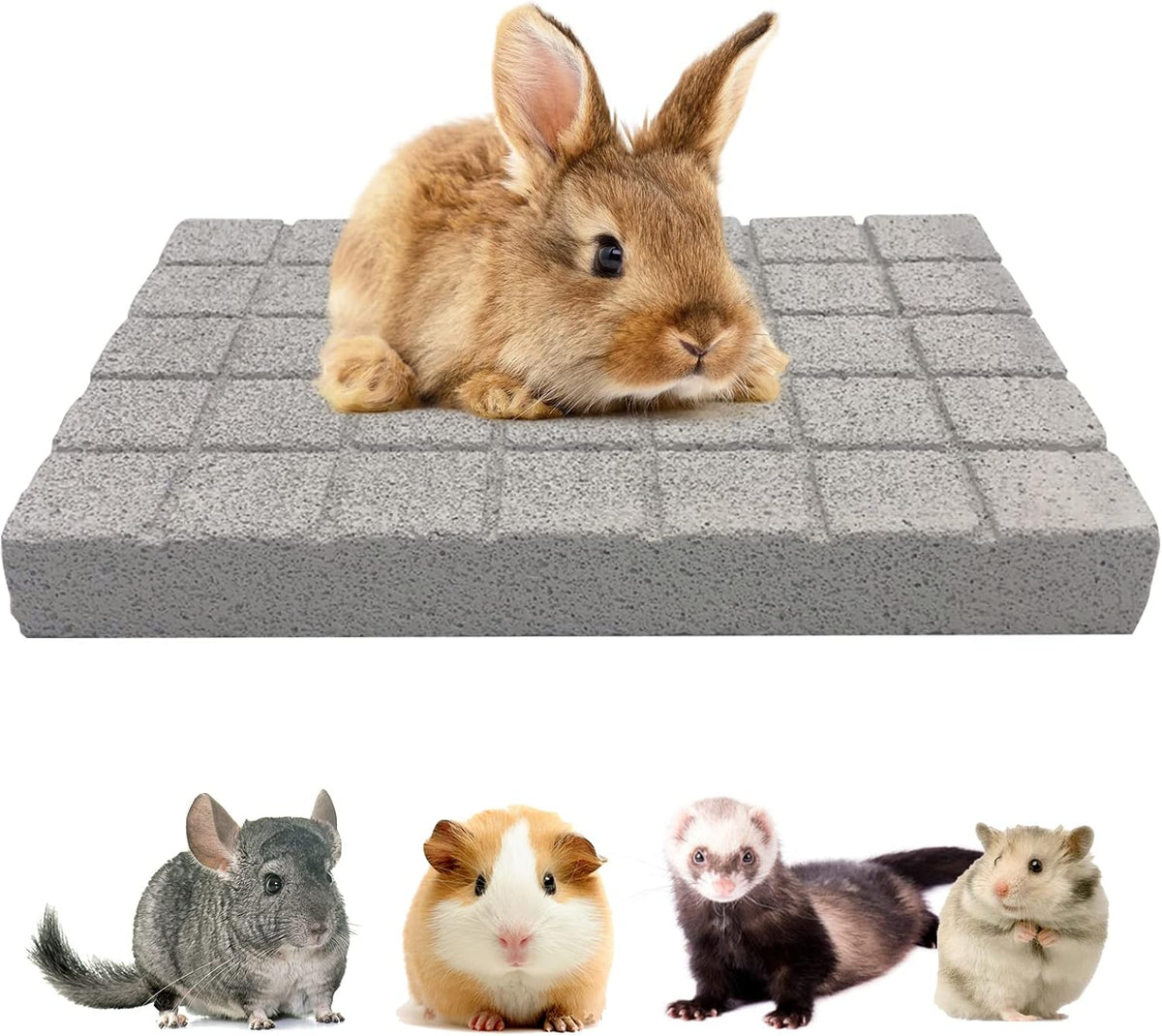 BNOSDM Rabbit Grinding Claw Pads Natural Hamster Lava Stone Teeth Grinding Scratching Pad Chew Toy
