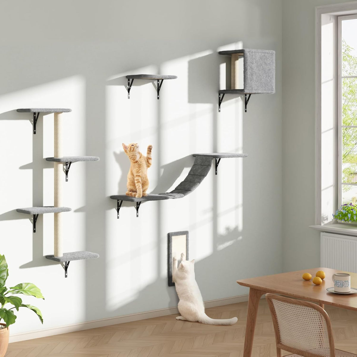 COZIWOW Wall Mounted Cat Furniture, Cat Wall Shelves and Perches, Floating Cat Shelves for Wall Set