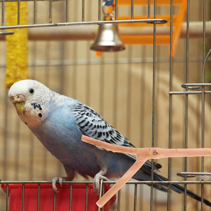 2pcs Bird Parrot Perch Stand Poles, Natural Wooden Parrot Perch for Cage, Branches Fork Rod for