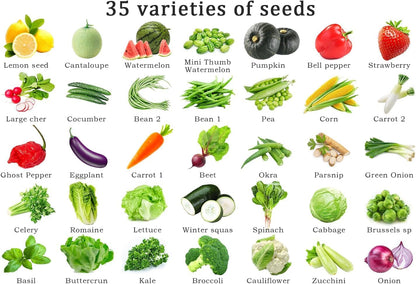 Vegetable Seeds Kit Fruit Seeds for Planting Non-GMO and Heirloom 35 Varieties Seeds for Planting
