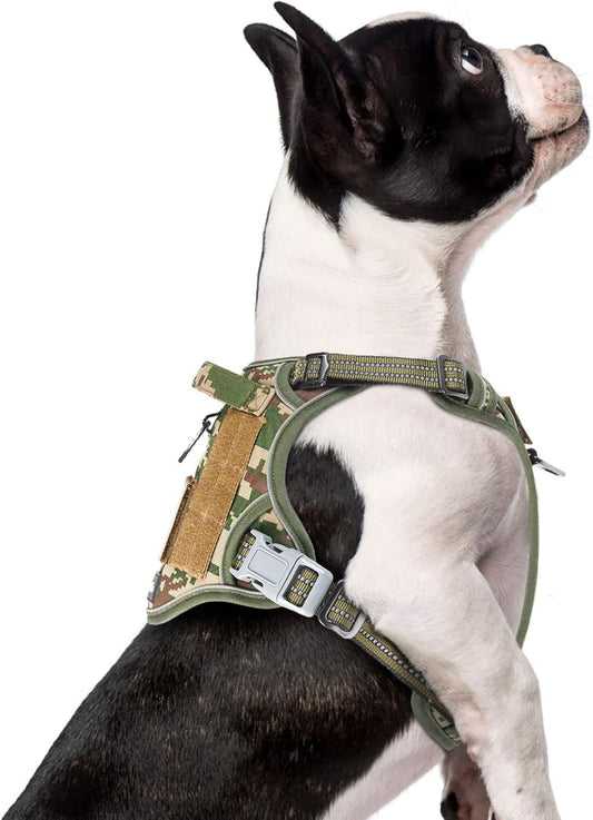 BUMBIN Tactical Dog Harness for Small Dogs No Pull, Famous TIK Tok No Pull Puppy Harness, Fit Smart