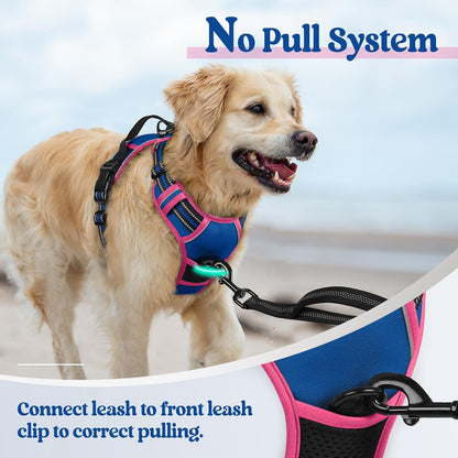 rabbitgoo Dog Harness No Pull with 2 Leash Clips, Adjustable Soft Padded, Reflective Oxford No