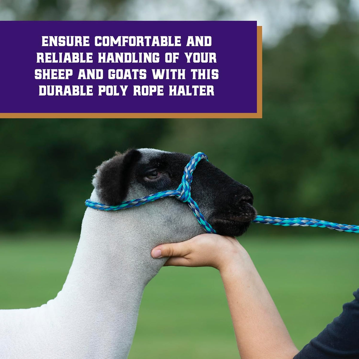 Weaver Livestock Poly Rope Sheep Halter, Modern Style Braid Sheep and Goat Rope Halter, Adjustable