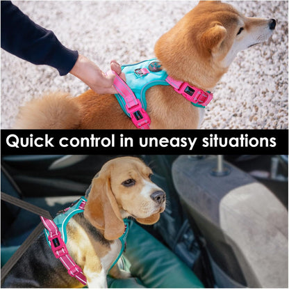 PHOEPET No Pull Dog Harness, Unique Colors Reflective Adjustable Dog Vest, with Soft Training