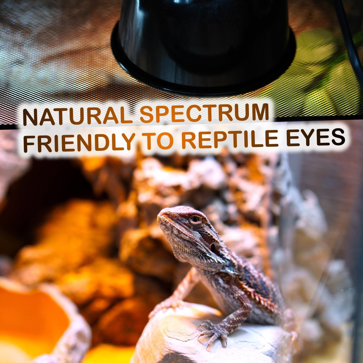 MRREPTILE Reptile Heat Lamp Bulbs, 2-Pack 100W Daylight Basking Bulbs, Reptile Basking Lamps