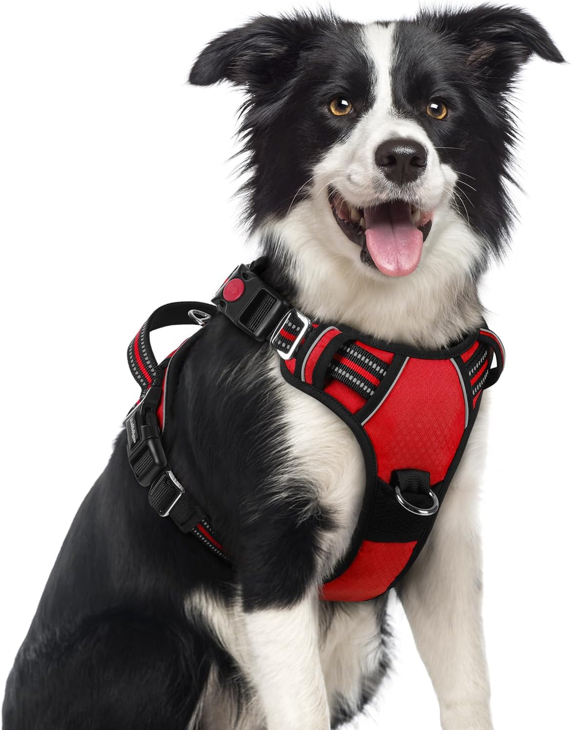 rabbitgoo Dog Harness Medium Sized, No Pull Dog Vest with 3 Buckles, Adjustable Soft Padded Pet