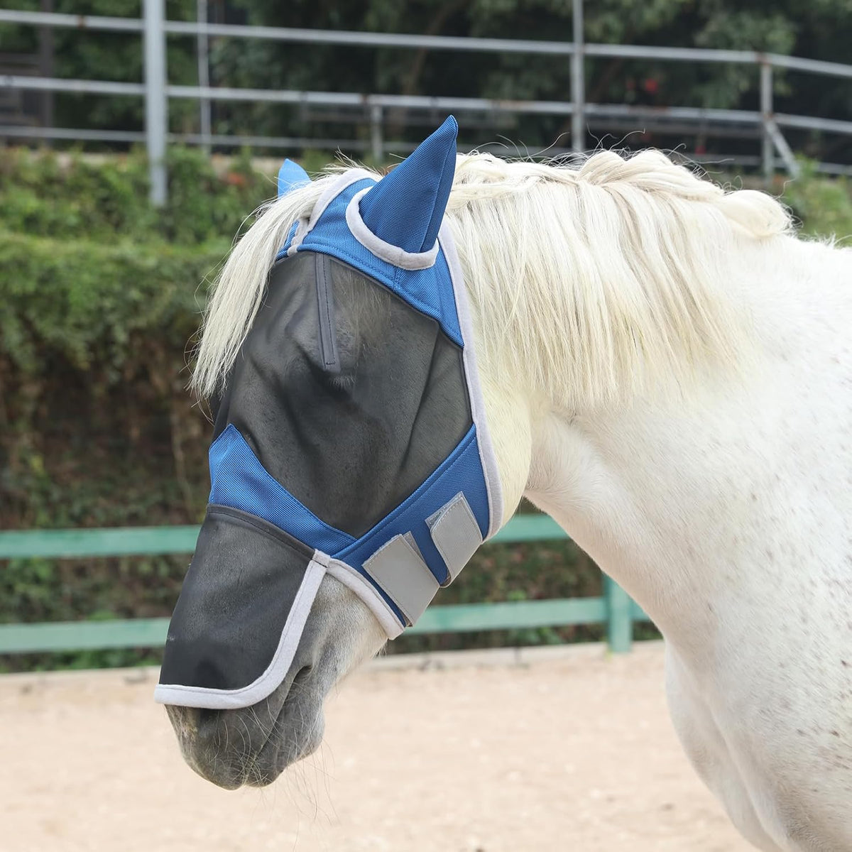Horse Fly Mask with Ears & Long Nose Cover | Forelock Opening for Tangle-Free Mane Care | UV