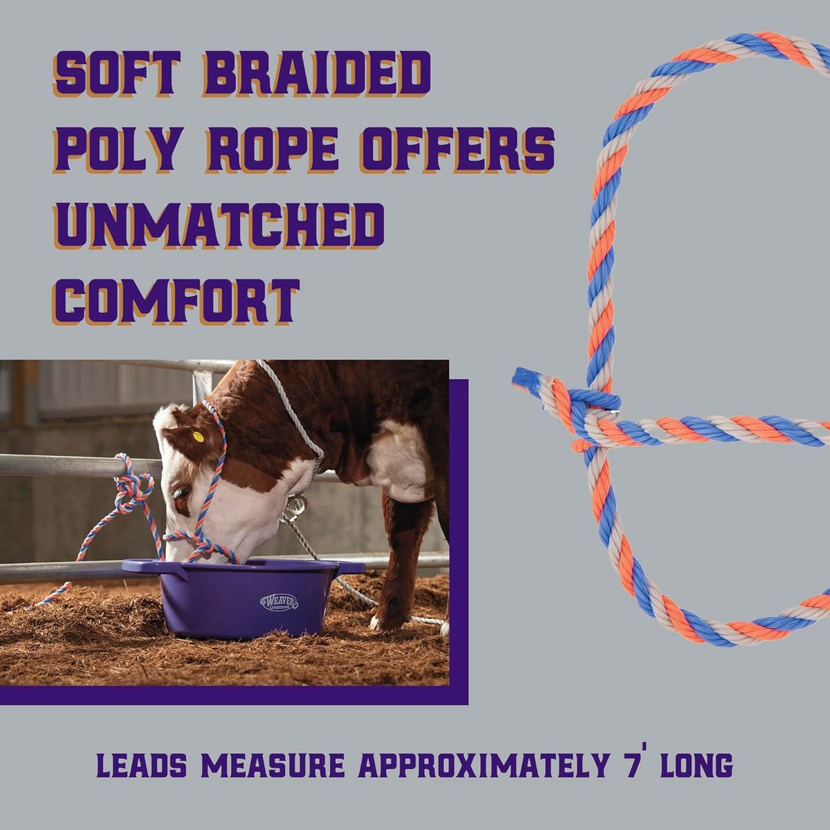 Weaver Livestock Braided Poly Rope Cattle Halter, Adjustable, Modern Style Cow Calf Halter