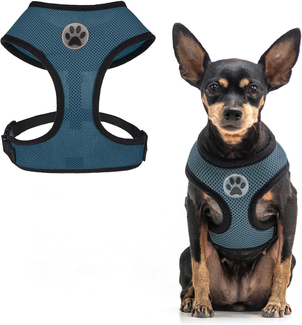 BINGPET Small Dog Harness - Breathable Mesh Puppy Cat Harnesses - No Pull Adjustable Dog Harness