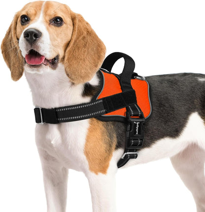 rabbitgoo Dog Harness Medium Sized, Easy On Pet Vest with One Buckle, No Pull Adjustable Service