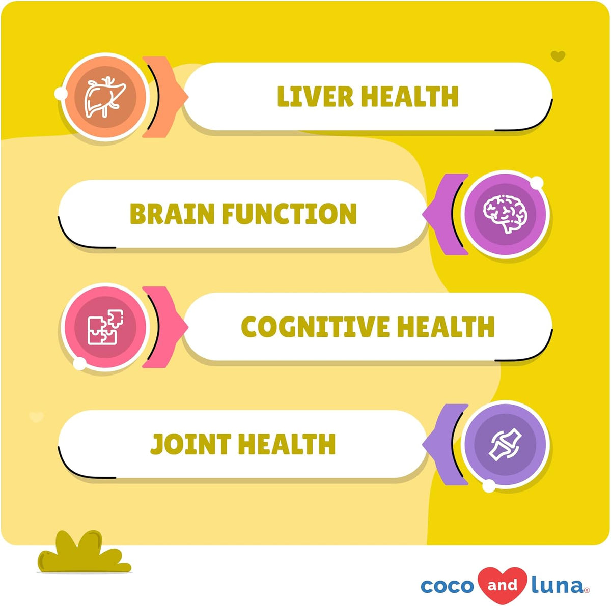 Same for Dogs - 120 Chewable Tablets - S-Adenosyl-L-Methionine, Liver Supplement - Brain Health
