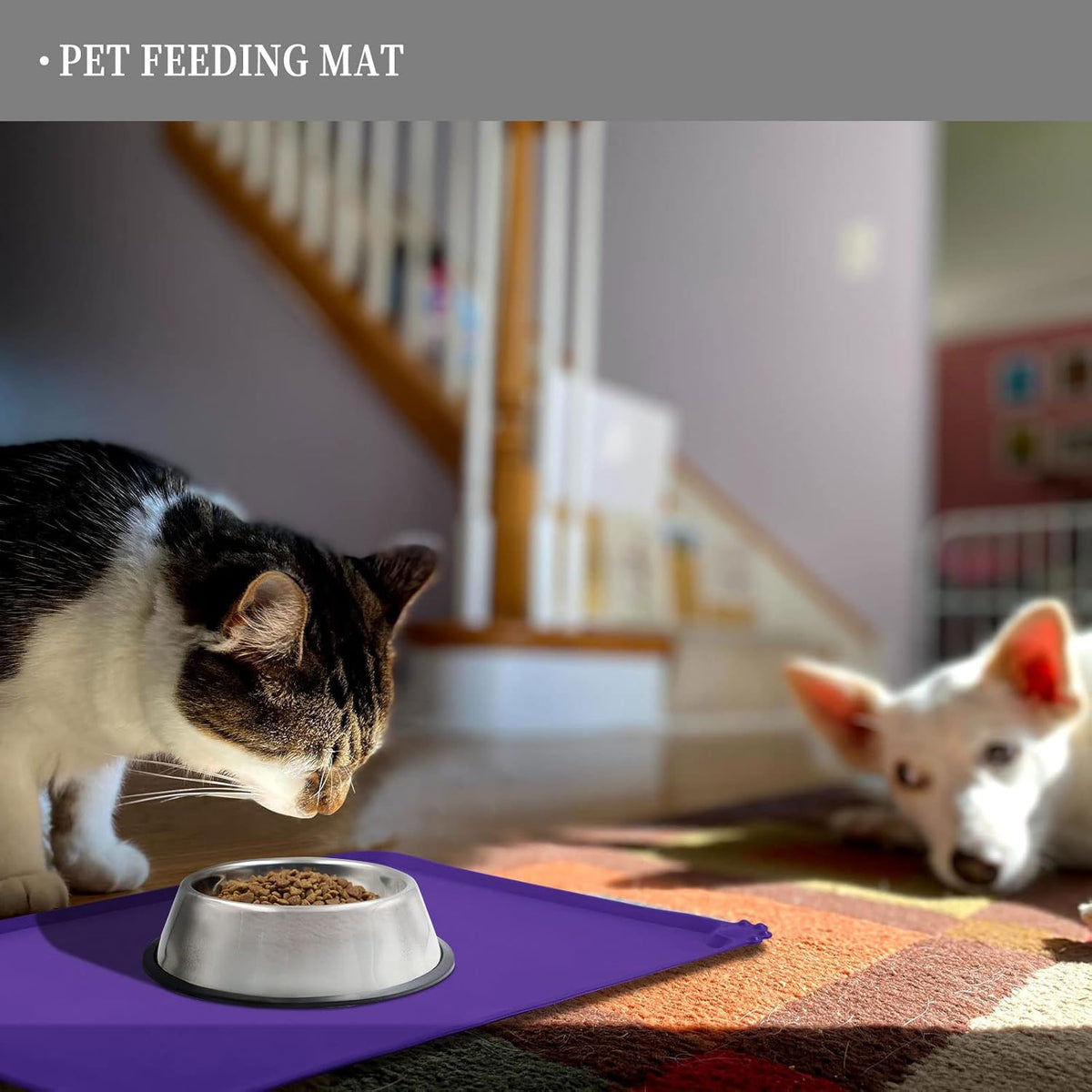 Waterproof Pet Feeding Mat with High Raised Edges, Heavier and Thicker Placemats for Cat Dog Water