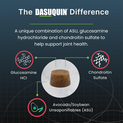Nutramax Dasuquin Joint Health Supplement for Large Senior Dogs – for Immune Support, Skin & Coat