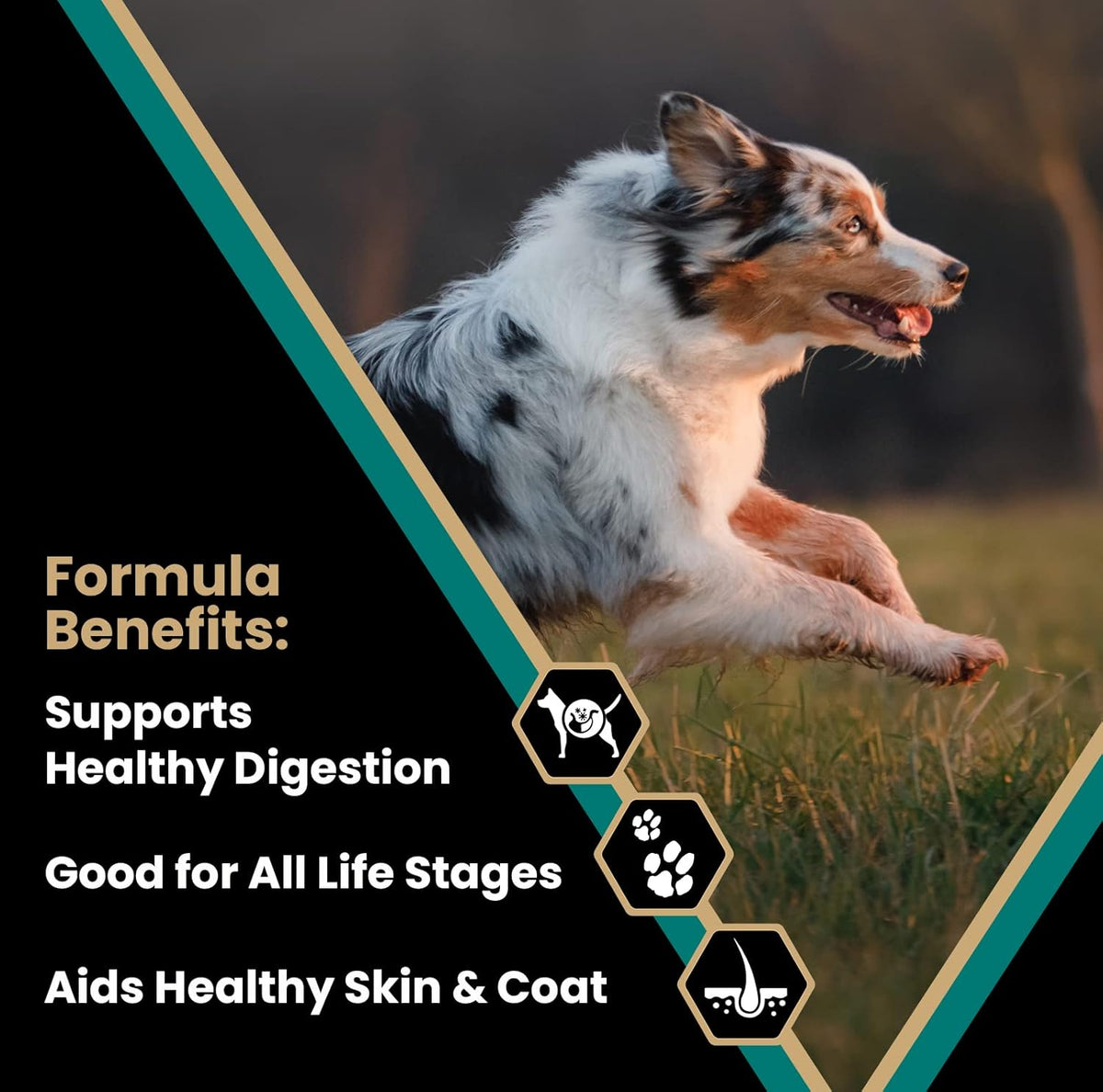 VICTOR Super Premium Dog Food – Select Ocean Fish Formula with Salmon – Omega-3 and Omega-6