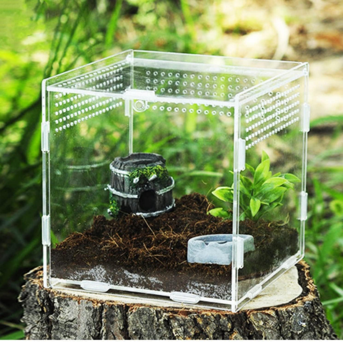 Magnetic Acrylic Case, micro habitat small Tarantula Enclosure enclosure for arboreal Tarantula