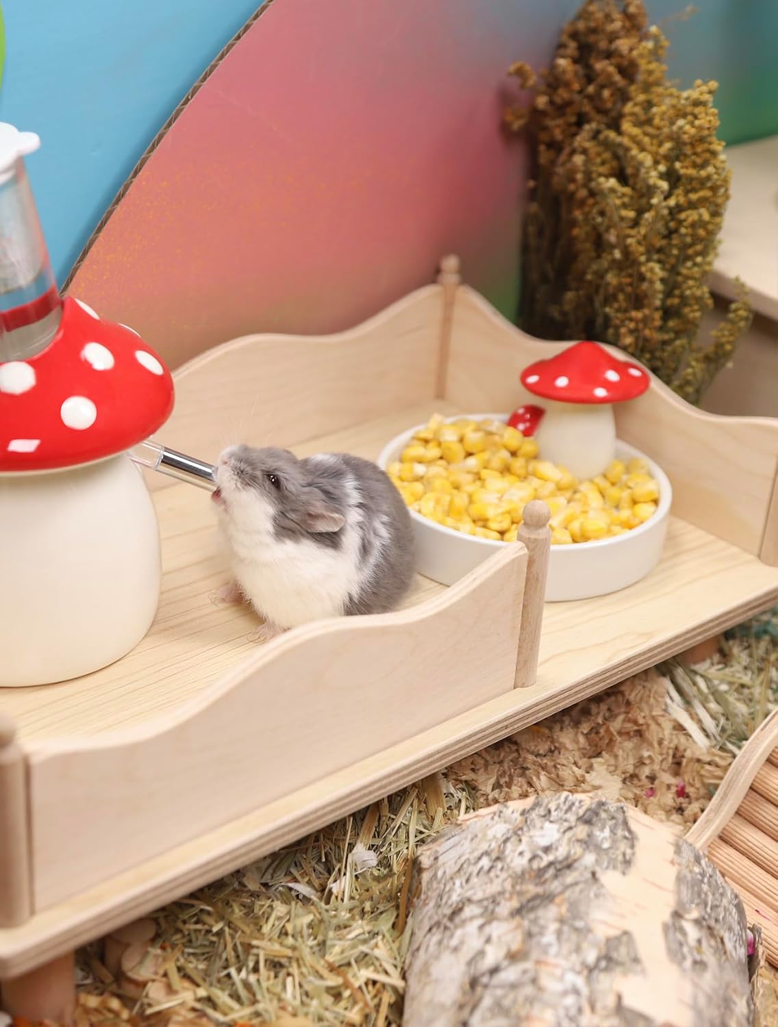 Niteangel Hamster Snack & Treats Toy - Small Animal Natural Treat for Dwarf Syrian Robo Hamsters