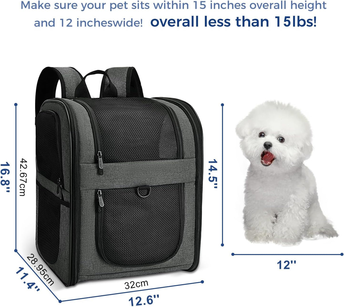 Apollo Walker Pet Carrier Backpack for 4-15lb Cats and Dogs, Puppies, Safety Features and Cushion