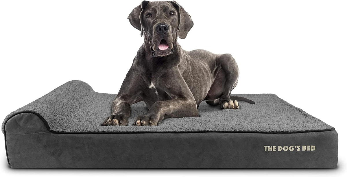 The Dog’s Bed Orthopedic Headrest Dog Bed XXL Grey Plush 54x36, Memory Foam, Pain Relief for