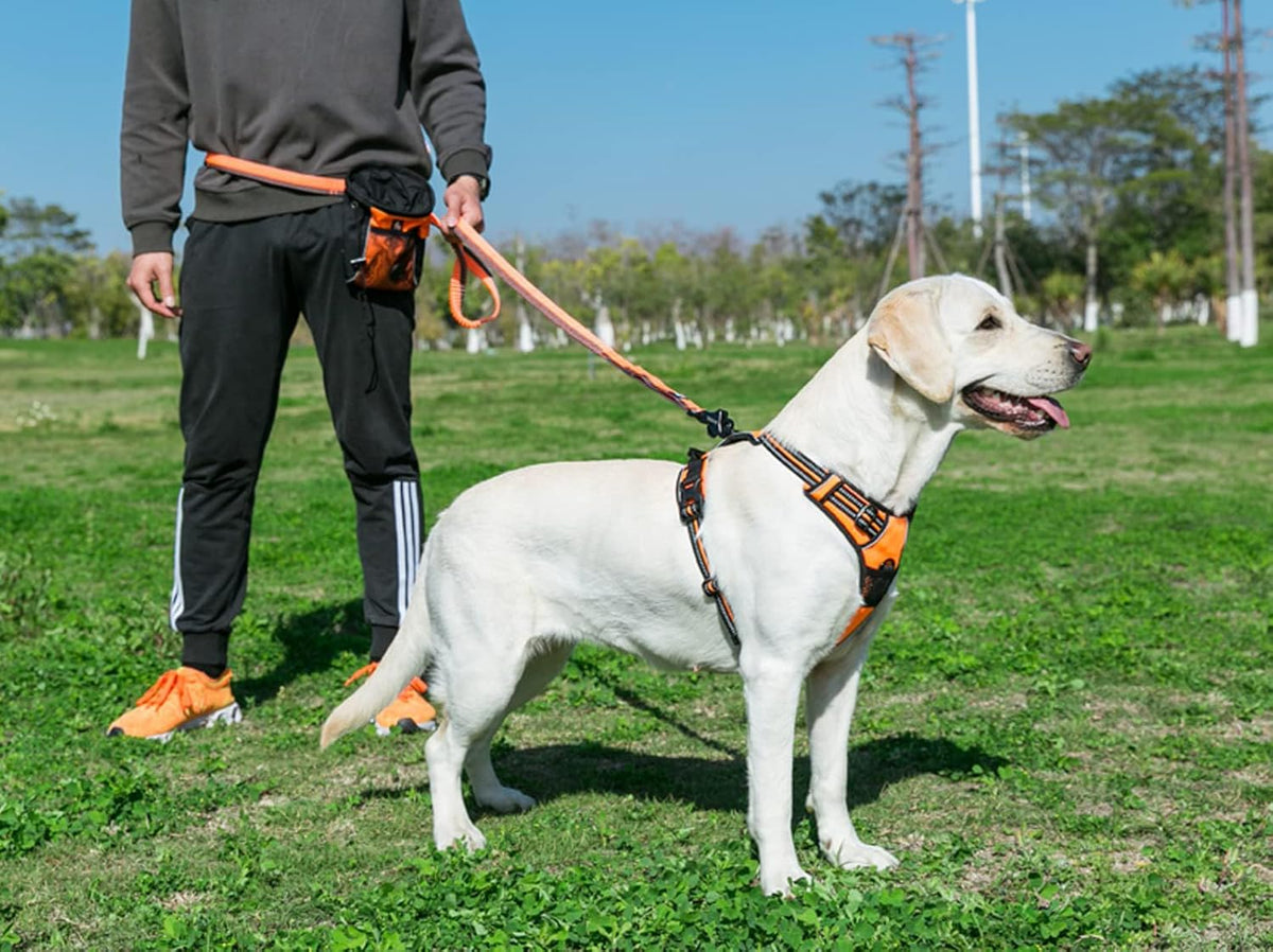 TRUE LOVE Truelove Adjustable No-Pull Dog Harness Reflective Pup Vest Harnesses Comfortable Control